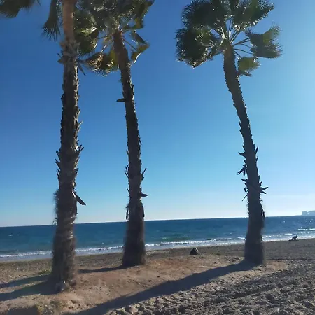 Apartamento Almoradi Rent Torrevieja
