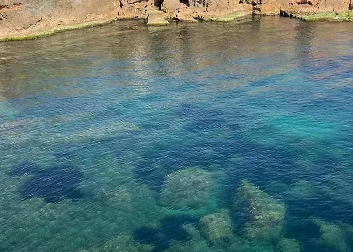 Almoradi Rent Apartamento