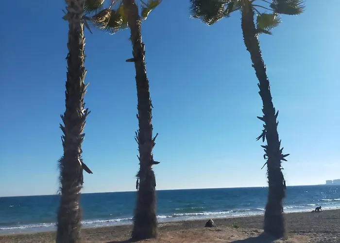 Apartamento Almoradi Rent Torrevieja